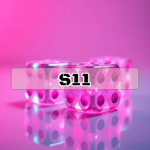 s11.com - Uma Experiência de Dealer Real que Você Não Pode Perder!